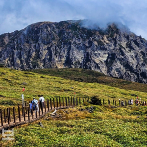 Jeju Private Car Tour – Explore Your Own Route (11 Hours, East·West·South Choice)