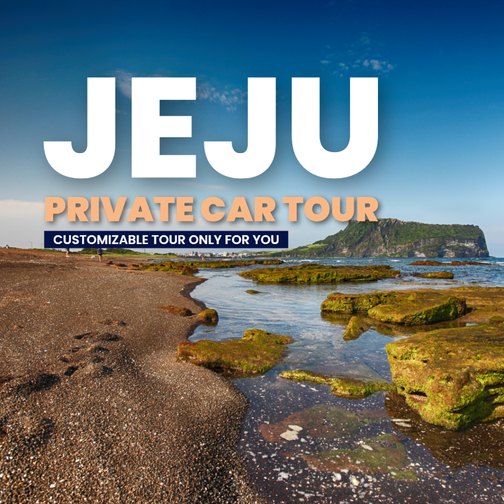 Jeju Private Vehicle & Driver Service (11 Hours)