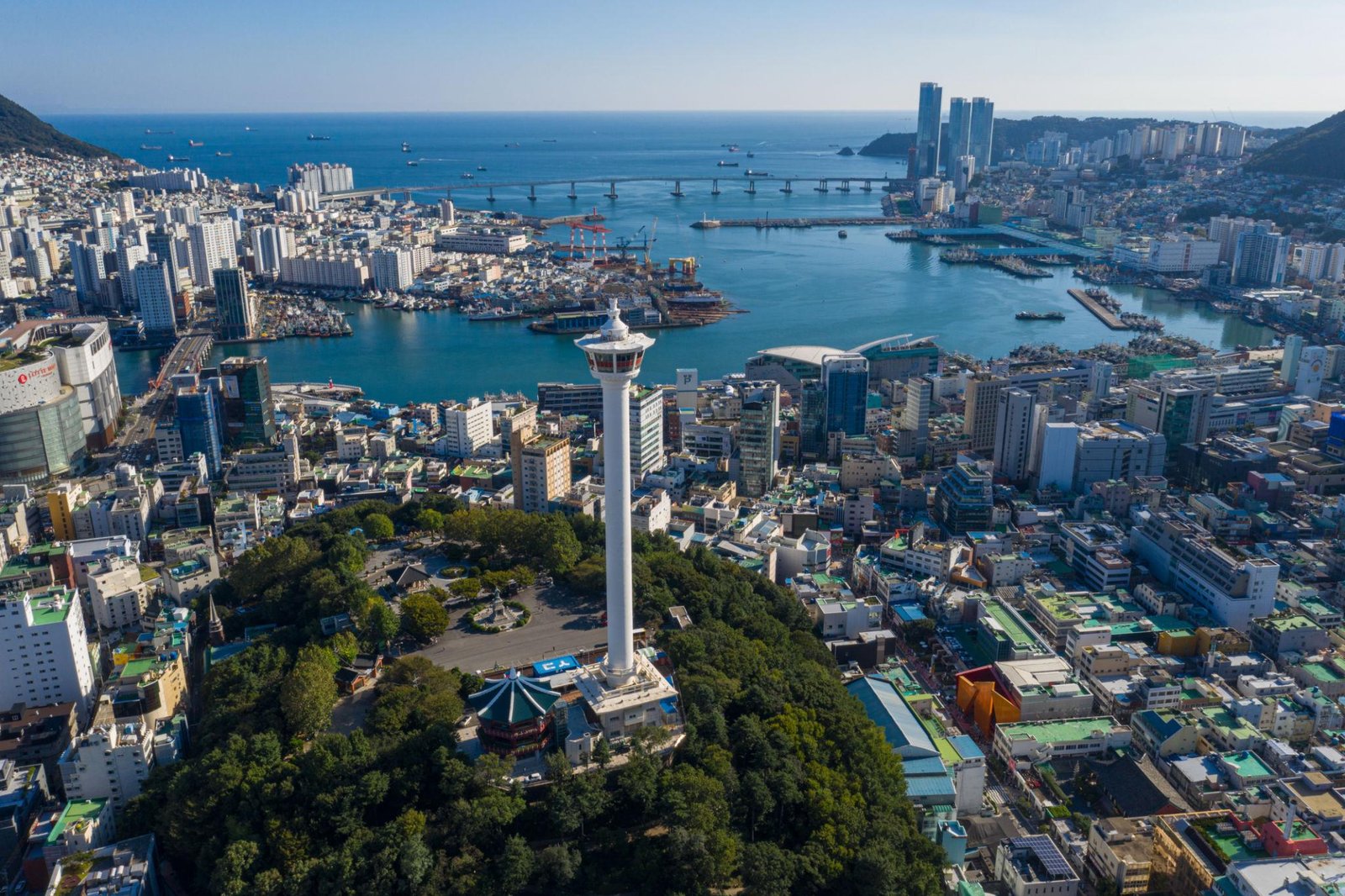 Busan Highlights Private Car Tour (11 Hours) - Image 4